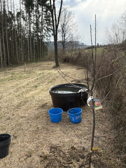 IMG 0330